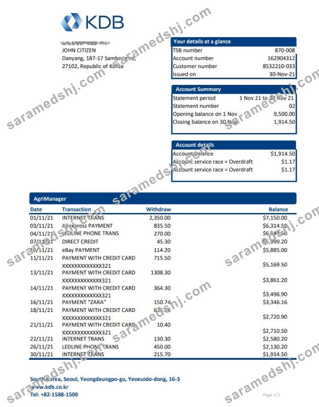 South Korea KDB bank statement easy to fill template in Excel and PDF format